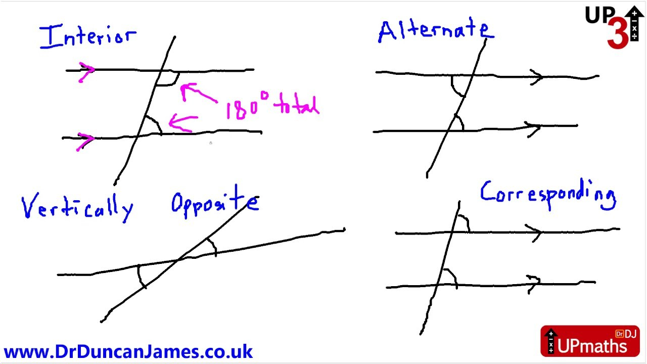 Interior Alternate Vertically Opposite And Corresponding Angle Interior Alternate Vertically Opposite And Corresponding Angle